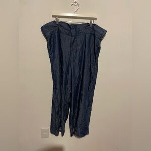 Standards‎ & Practices NWT Pants Blue Cleo Wide Leg Paperbag Belted Tencel sz 20